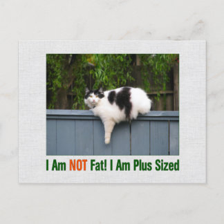 Carte Postale Kitty plus taille