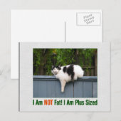 Carte Postale Kitty plus taille (Devant / Derrière)