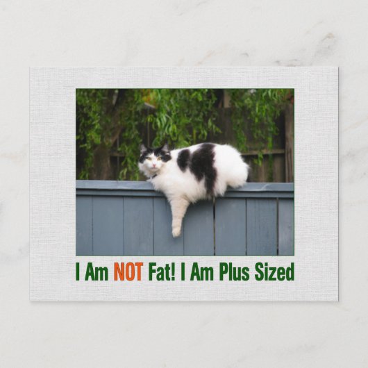Carte Postale Kitty plus taille (Devant)