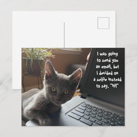 CARTE POSTALE KITTY SELFIE HELLO (Devant / Derrière)