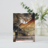 Carte postale Kitty Sleep Book (Debout devant)