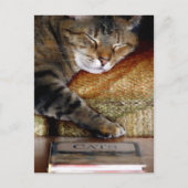 Carte postale Kitty Sleep Book (Devant)