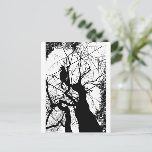 CARTE POSTALE KITTY TREE SILHOUETTE B&W (Debout devant)