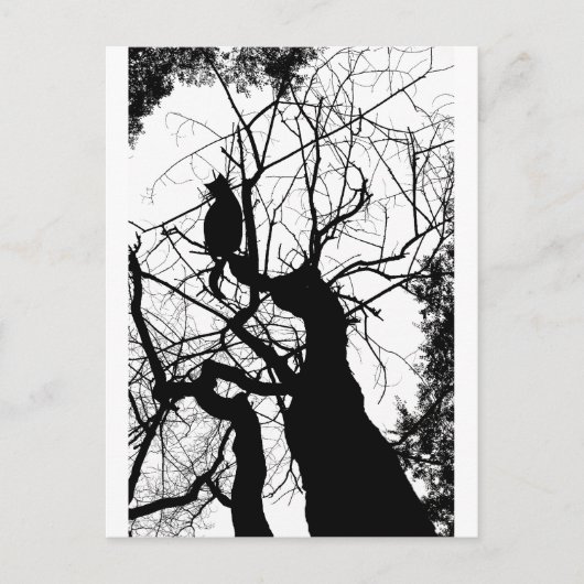 CARTE POSTALE KITTY TREE SILHOUETTE B&W (Devant)