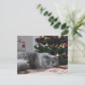 carte postale kitty vacances (Debout devant)