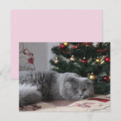 carte postale kitty vacances (Devant / Derrière)