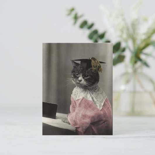 Carte Postale Kitty Valedictorian (Debout devant)