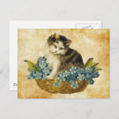 Carte Postale Kitty vintage dans le panier (Devant / Derrière)