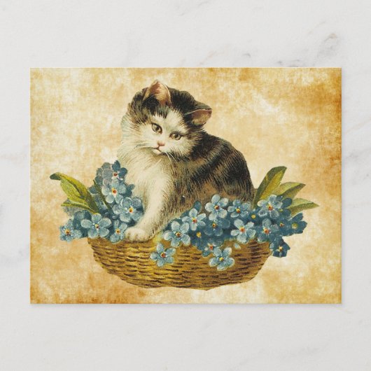 Carte Postale Kitty vintage dans le panier (Devant)