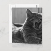 Carte Postale Kitty Yawning (Devant / Derrière)