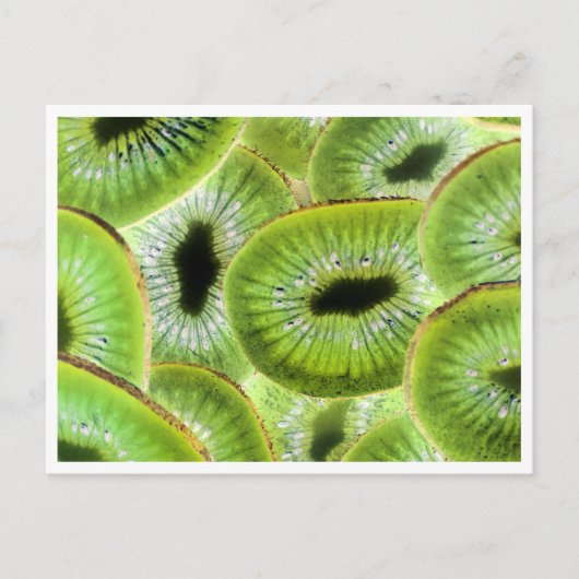 Carte postale - Kiwi (Devant)