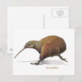 Carte Postale kiwi (Devant / Derrière)
