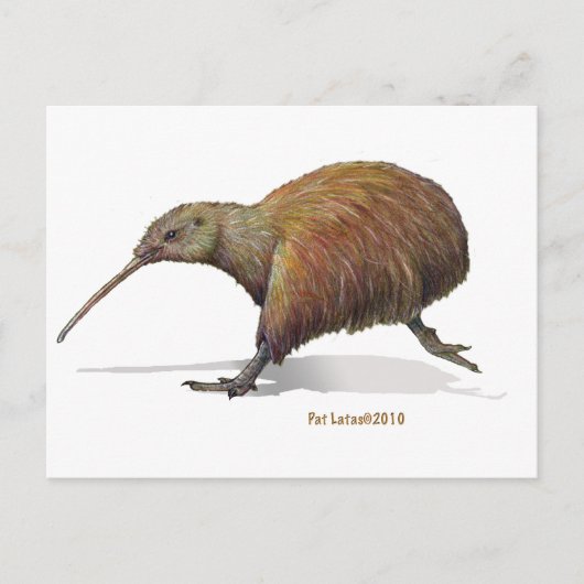 Carte Postale kiwi (Devant)