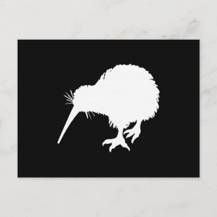 Carte Postale Kiwi Bird