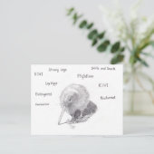 Carte Postale Kiwi dehors pour une promenade (Debout devant)