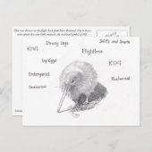 Carte Postale Kiwi dehors pour une promenade (Devant / Derrière)