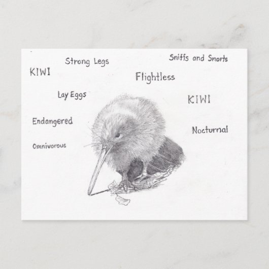 Carte Postale Kiwi dehors pour une promenade (Devant)