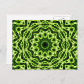 Carte Postale Kiwi Kaleidoscope (Devant / Derrière)