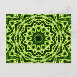 Carte Postale Kiwi Kaleidoscope