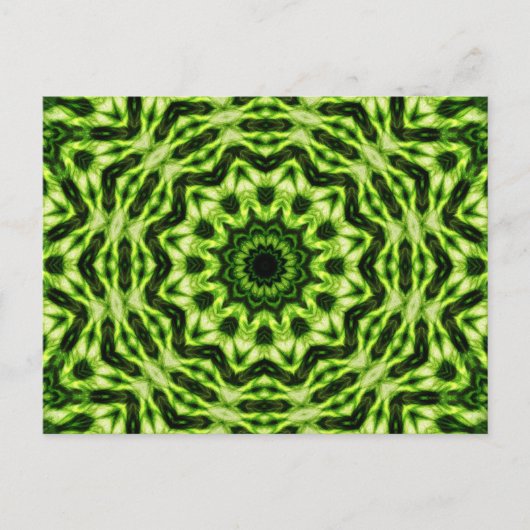 Carte Postale Kiwi Kaleidoscope (Devant)