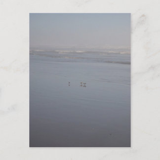 Carte Postale Klalaoch & Oiseaux