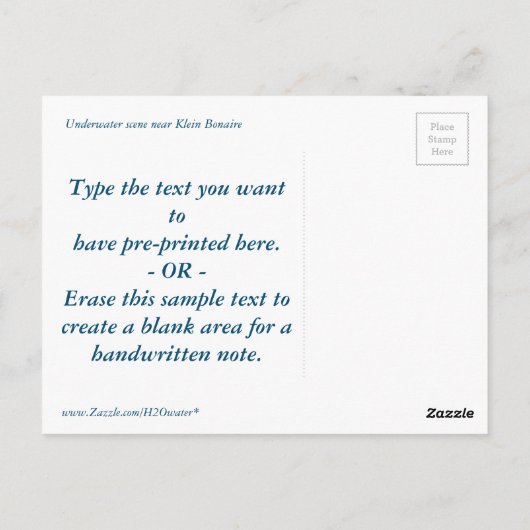 Carte Postale Klein Bonaire (Dos)