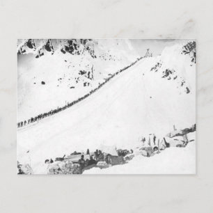 Carte Postale Klondikers d'Alaska