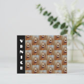 Carte Postale Knocker de porte de Venise (Debout devant)