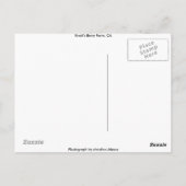 Carte Postale Knott's Berry Farm, Californie (Dos)