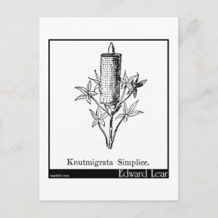 Carte Postale Knutmigrata Simplice.
