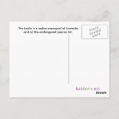 Carte postale Koala (Dos)