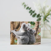 Carte Postale Koala (Debout devant)