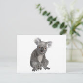 Carte Postale Koala (Debout devant)