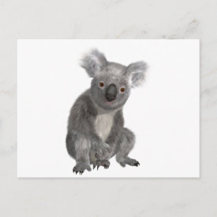 Carte Postale Koala