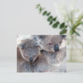Carte Postale Koala (Debout devant)