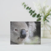 Carte Postale Koala 2 - Salutations (Debout devant)