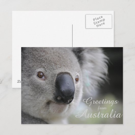 Carte Postale Koala 2 - Salutations (Devant / Derrière)