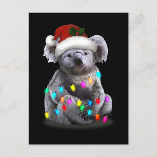 Carte Postale Koala Assis Avec Les Lumières De Noël Saison De No