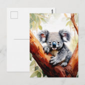 Carte Postale Koala assis dans un eucalyptus (Devant / Derrière)