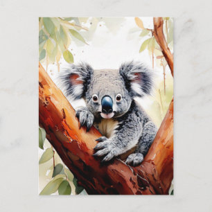 Carte Postale Koala assis dans un eucalyptus