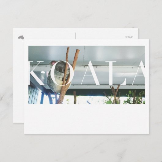 Carte postale Koala Australie (Devant / Derrière)