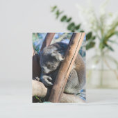 Carte Postale Koala - Australie (Debout devant)