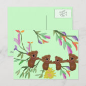 Carte postale Koala Bear (Devant / Derrière)