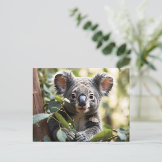 Carte Postale Koala Bear (Debout devant)