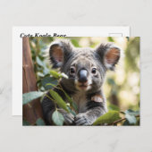 Carte Postale Koala Bear (Devant / Derrière)