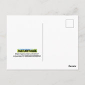 Carte Postale Koala Bear (Dos)