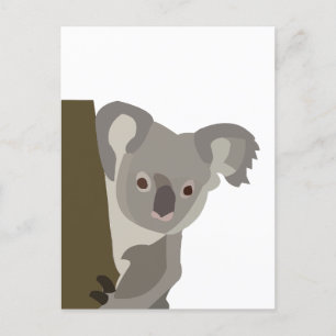 Carte Postale Koala Bear Cute Animal Australien