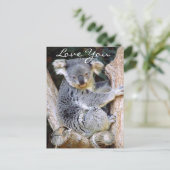 Carte Postale Koala Bear Love_ (Debout devant)