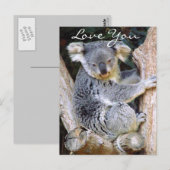 Carte Postale Koala Bear Love_ (Devant / Derrière)