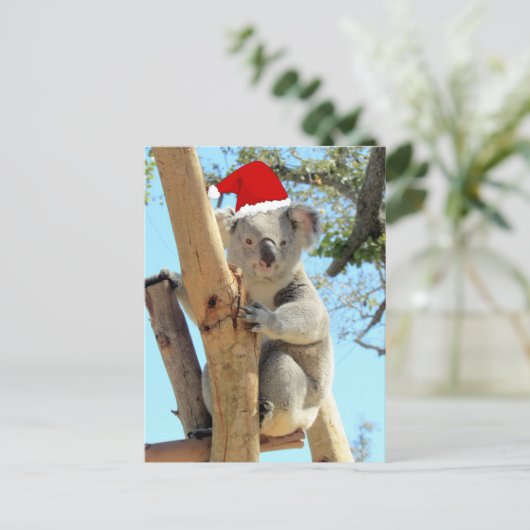 Carte postale Koala Christmas (Debout devant)